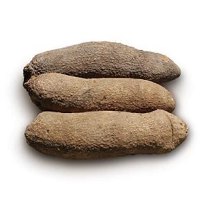 26a2672b-a06e-4606-9d9a-21cad9e74815-300x300-1.jpg 1 Tuber of Ghana yam 2.2kg-2.5kg