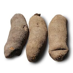 319e87e1-4219-4af3-8019-a051eeb26a1e-300x300-1.jpg 1 Tuber of Ghana yam (1kg-1.5kg)